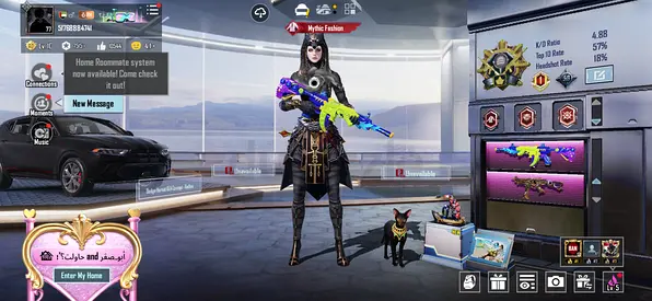 الشارقة حوشي