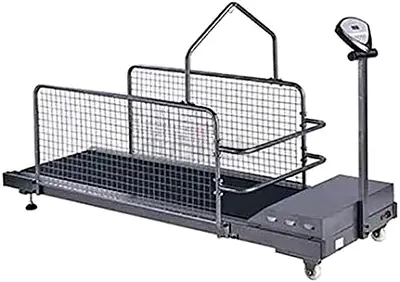 Dog Treadmill Exerciser