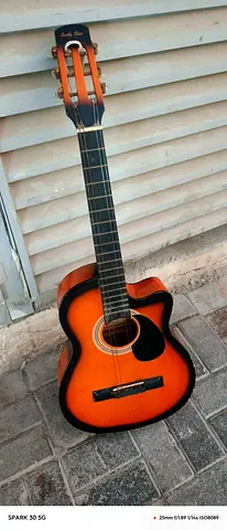 Guitar