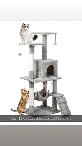 الرحبة ابوظبي