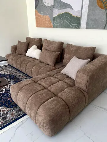 Comfortable and Stylish Brown Sofa Set