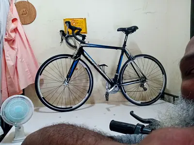 Silver back strella 2 bicycle