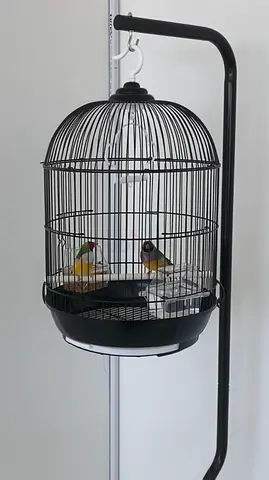 REDUCED price small bird cage with stand and bird food