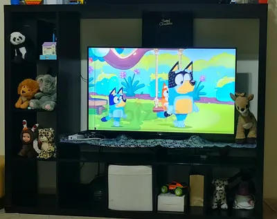 TV with stand