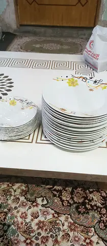 Plates 18 big size and 6 small
