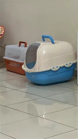 Cat litter box and carry box