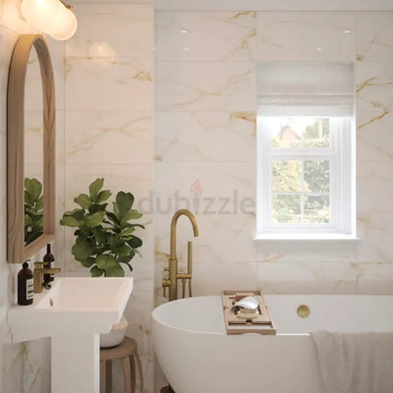 DPV_View_Image_2