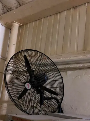 Reliable Ceiling Fan for Sale