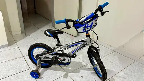 Stylish Blue and Silver Kids Bicycle for Sale!