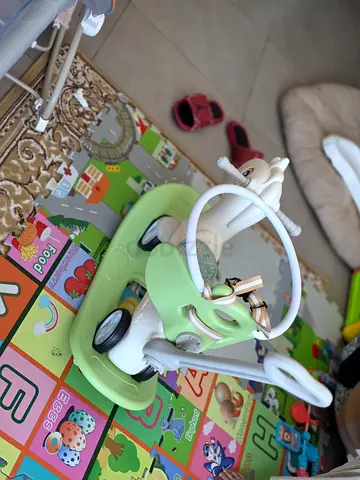 Adorable Ride-On Toy for Your Little One