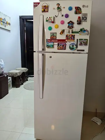 LG Refrigerator Perfect for Your Home