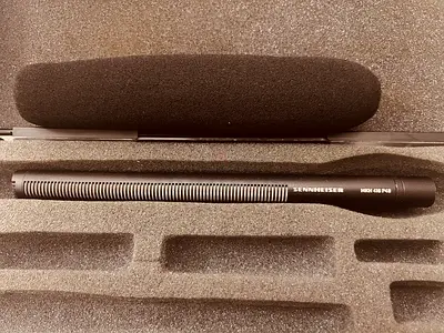 Sennheiser 416 with Rycote windshield