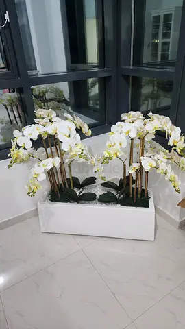 Stunning Artifical Plant