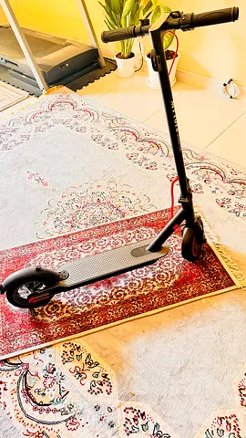 Sleek Electric Scooter for Sale - Ride in Style!