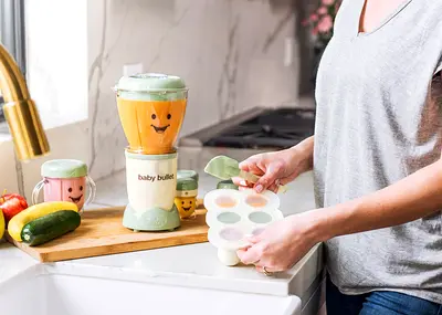 Baby Bullet nutribullet Baby Bullet Food Blender