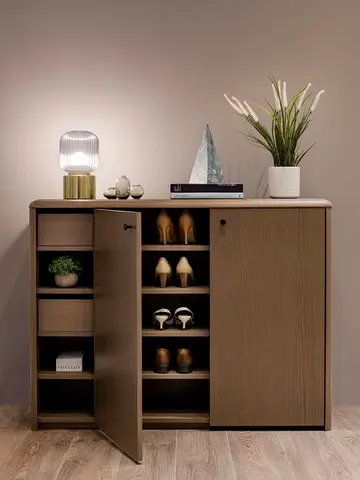 Stylish Modern Shoe Cabinet with Elegant Finish