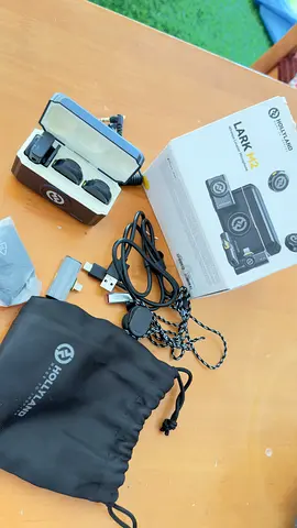 Holly land microphone mic