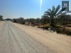 For Sale in Sharjah – Al Zubair Area