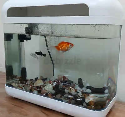 Beautiful Aquarium for Sale- Used only 1 month