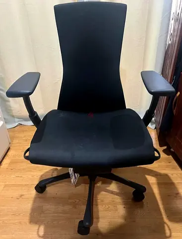 Embody Ergonomic Herman Miller Chair Fully Adjustables Almost New