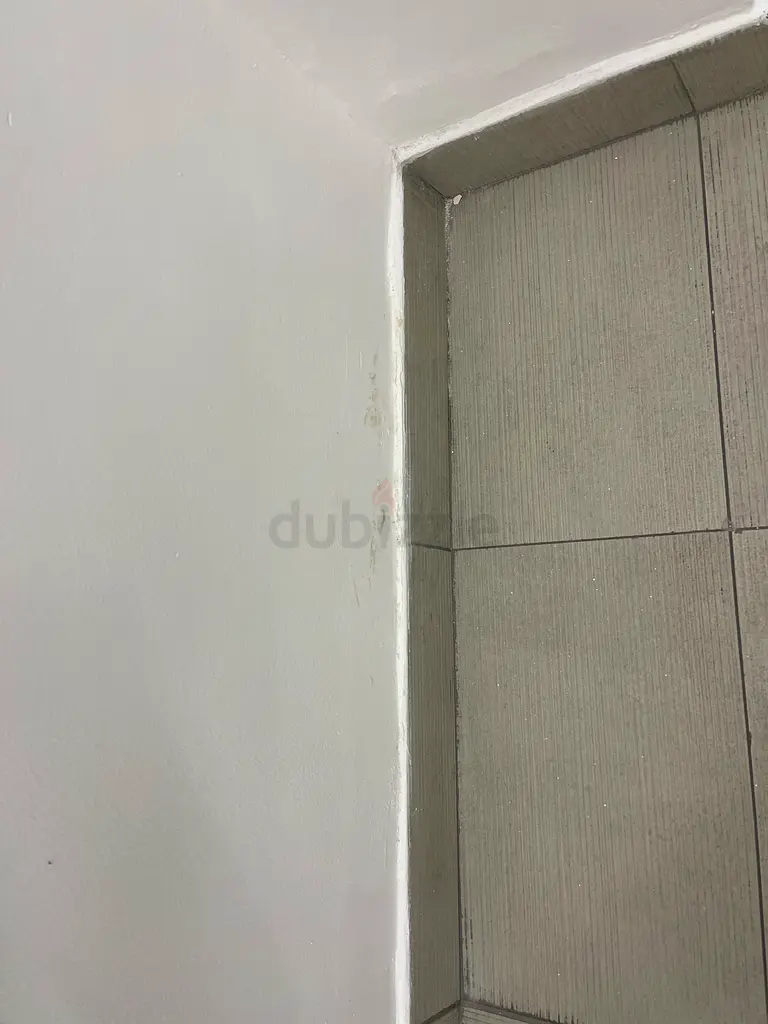DPV_View_Image_4