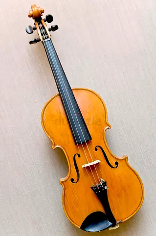 Violin Home tution