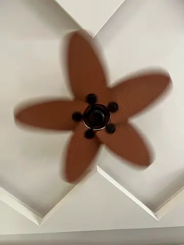 Flower Ceiling Fan for a Unique Look