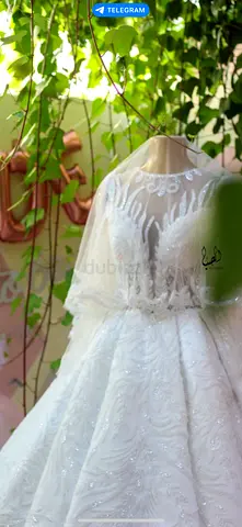 ابوظبي بني ياس