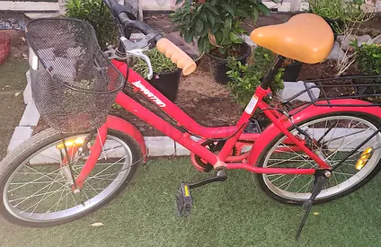 Kids cycle