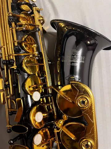 Roy Benson RB700603 Eb-Alt Saxophone MOD.AS-202K (All Components Included)