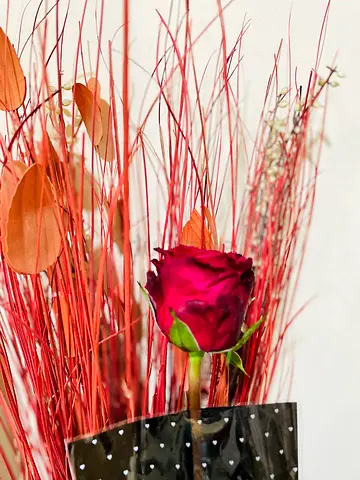 Beautiful Decoration