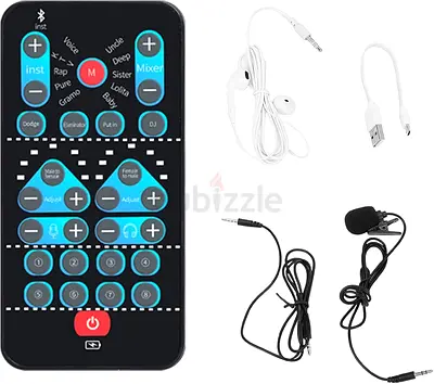 Flylin Portable Handheld Microphone Voice Changer,