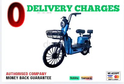 Wind Horse M3 Electric Bike - 1 Year Warranty