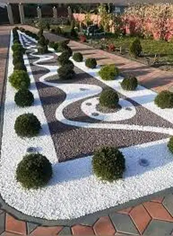 Beautifully Designed Garden Landscape with Decorative Plants