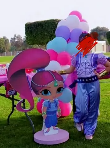 Shimmer costume for girls