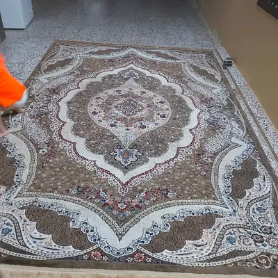 Elegant European Classical Area Rug for Sale