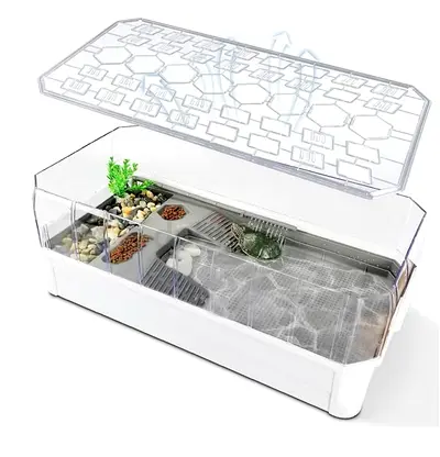 Turtle Habitat Starter Kit with Water Filter, Anti-Escape Fence, and Spacious Design (46x23x20 cm)