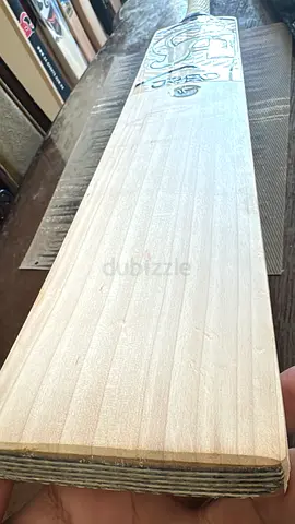 CA JR20 Cricket Bat for Sale