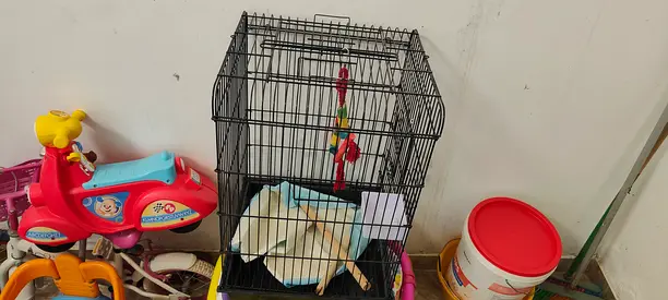 Sturdy Bird Cage with Accessories
