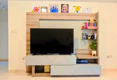 Modern Entertainment Center with Storage