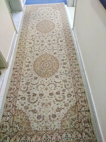 Beautiful Traditional Beige Runner Rug