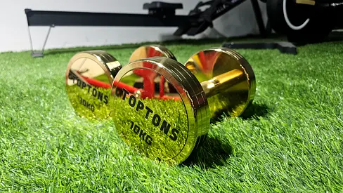 Gold Dumbbells  Silver Dumbbells Set - 10kg Each