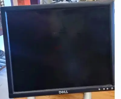 20Inch Dell Monitor for Sale - Great Condition!