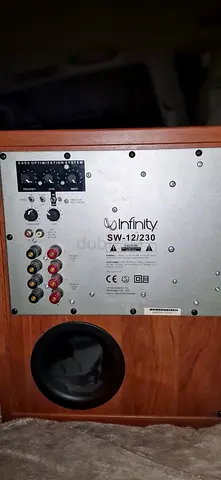 Infiniti SW12 Subwoofer