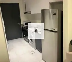 Spacious luxury lush fully furnished studio apartment