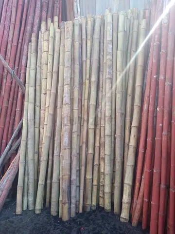 Bamboo Poles for sale