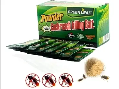 Bed Bugs  Cockroach Powder