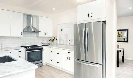 Home appliances repair and maintenance