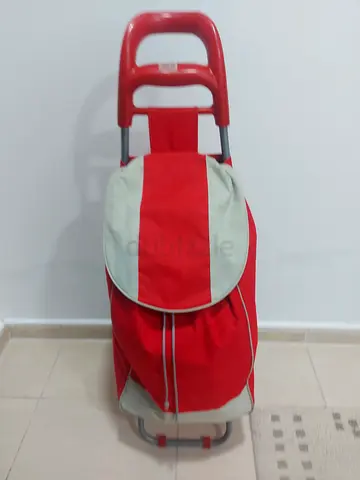 Shopping cart Stroller