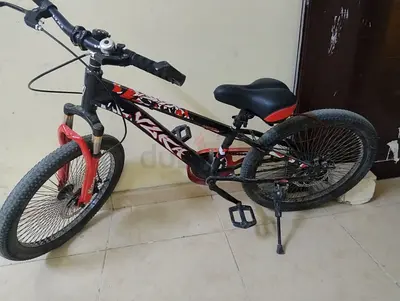 For Sale: Well-Loved Mountain Bike in Good Condition